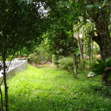 Philip Mary Farm Stay Thekkady Esterno foto