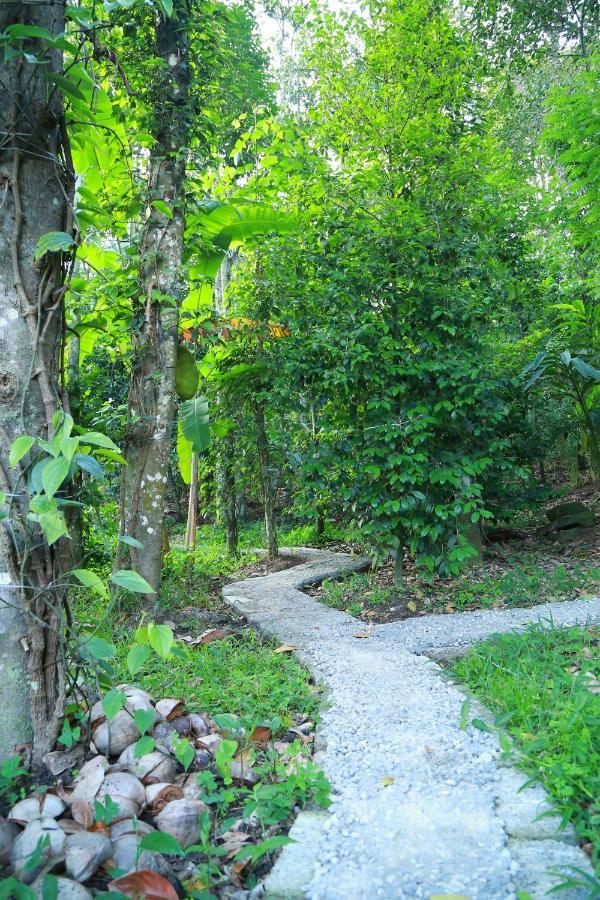 Philip Mary Farm Stay Thekkady Esterno foto