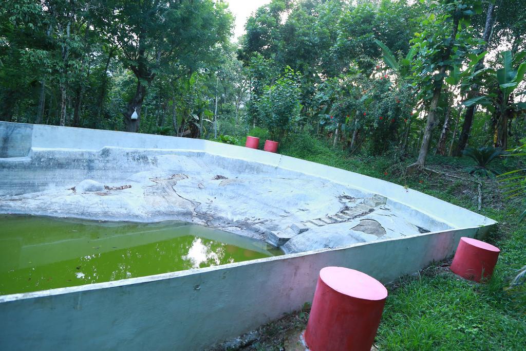 Philip Mary Farm Stay Thekkady Esterno foto
