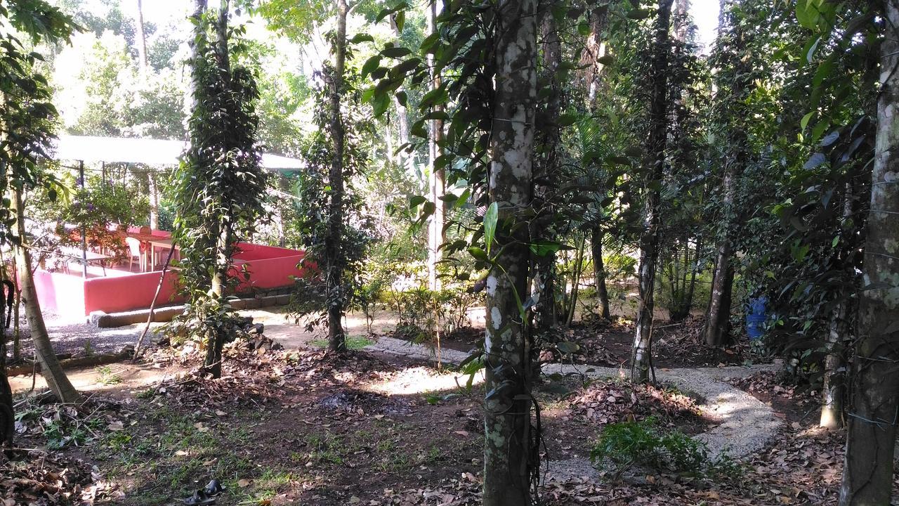 Philip Mary Farm Stay Thekkady Esterno foto