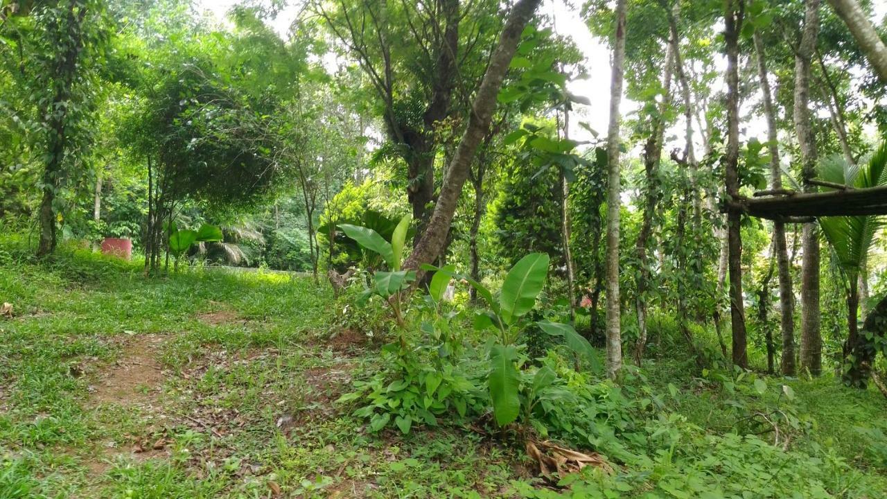 Philip Mary Farm Stay Thekkady Esterno foto