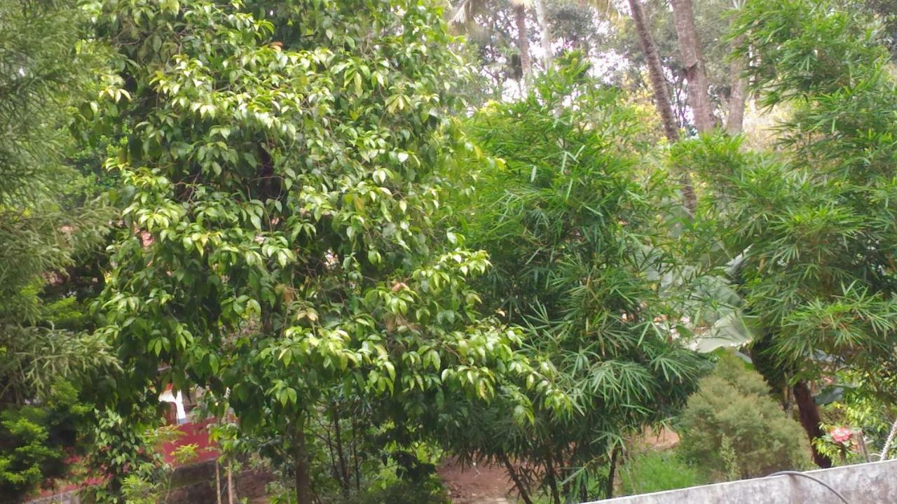 Philip Mary Farm Stay Thekkady Esterno foto