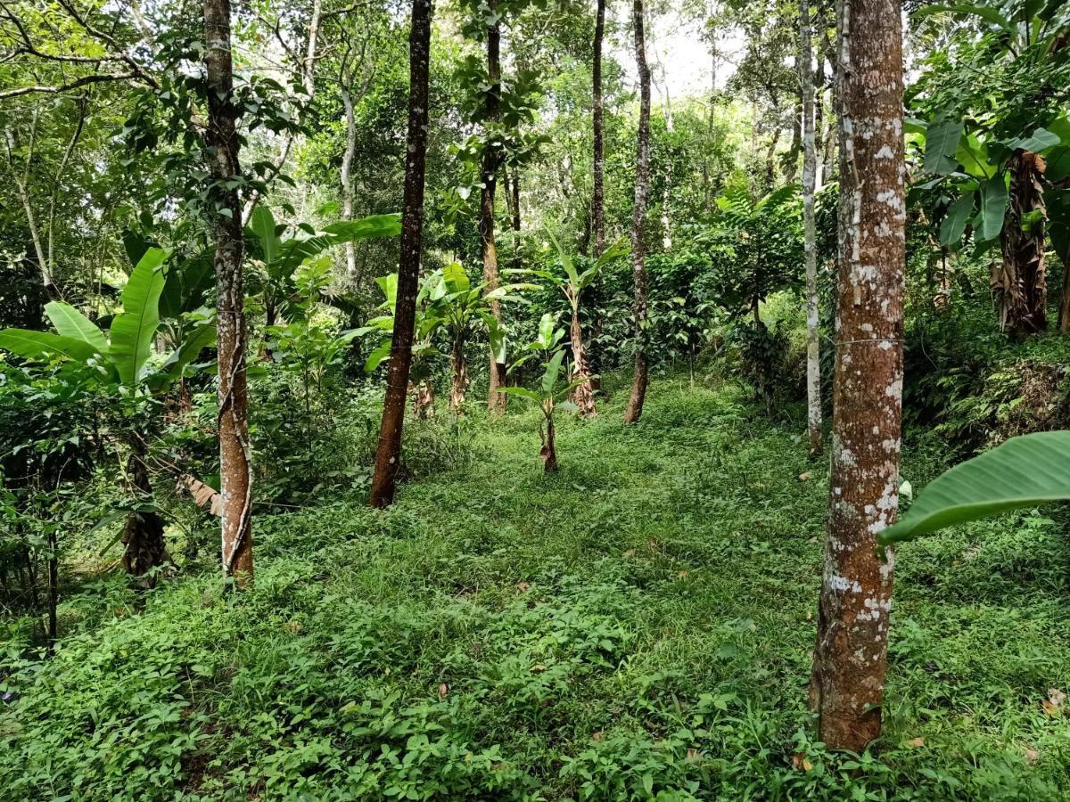 Philip Mary Farm Stay Thekkady Esterno foto